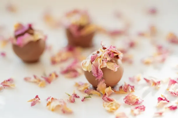 LottoKings Casino Android/iOS-app